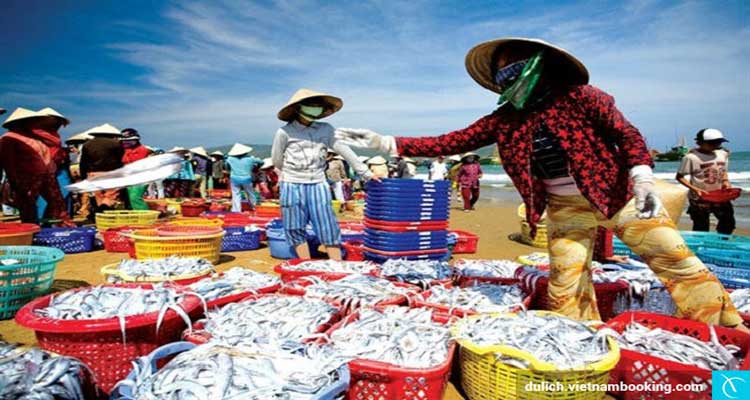 Cơm niêu Quán Việt nhập hàng từ làng chài mũi né Cơm niêu quán việt mũi né nhập hàng từ làng chài mũi né